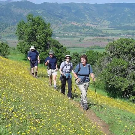 Apartment Lavender - Perfect For Families!