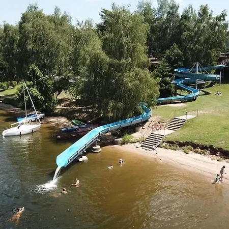 Lavender - Perfect For Families! * Stranny