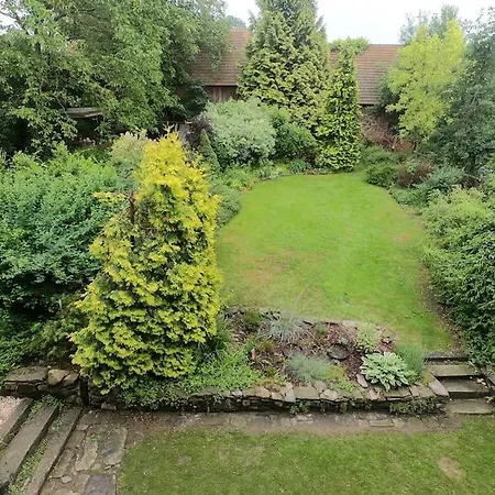 Lavender - Perfect For Families! Stranny