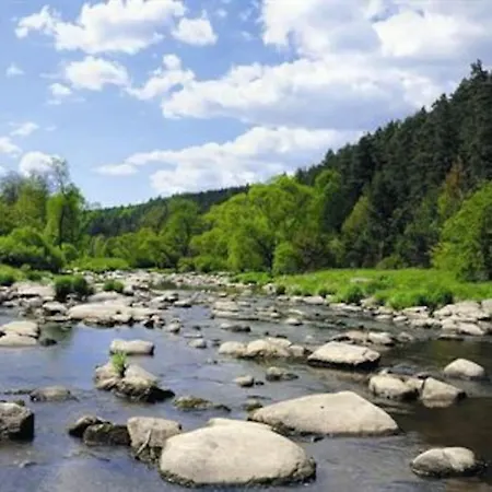 Lavender - Perfect For Families!