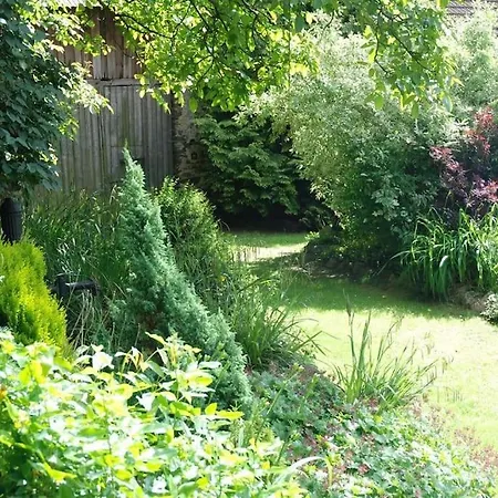 Lavender - Perfect For Families! Stranny