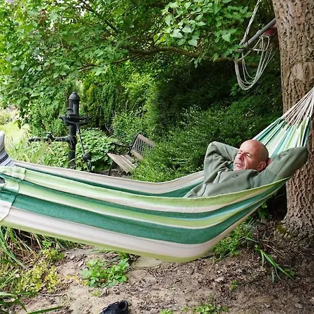 Lavender - Perfect For Families! Stranny