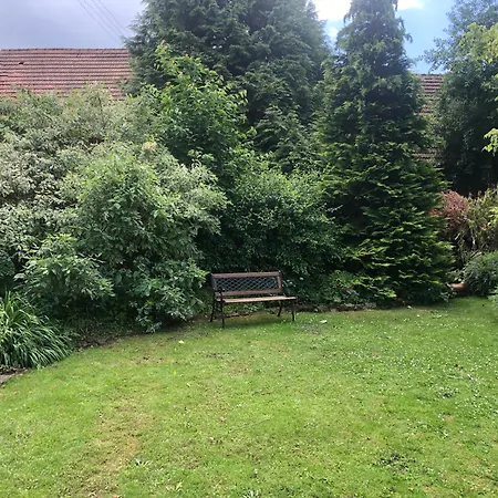 Lavender - Perfect For Families! * Stranny