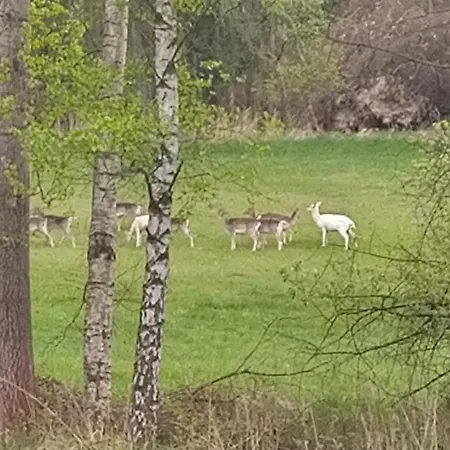 Apartmán Lavender - Perfect For Families! Stranny