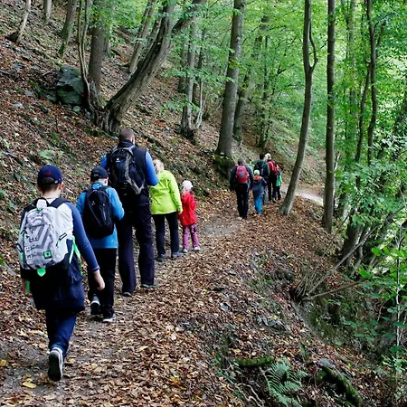 Lavender - Perfect For Families! * Stranny