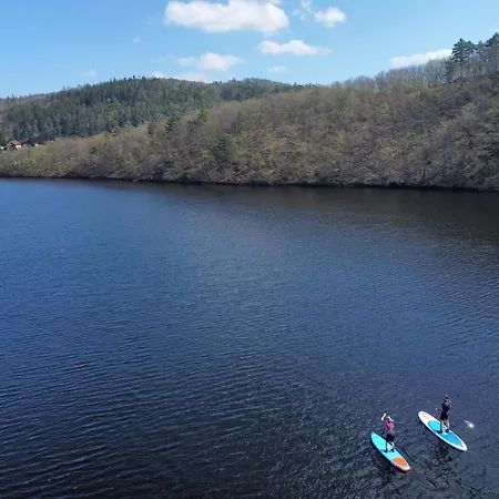 Lavender - Perfect For Families!
