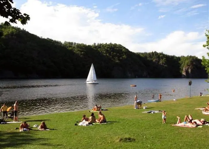 Lavender - Perfect For Families! Stranny