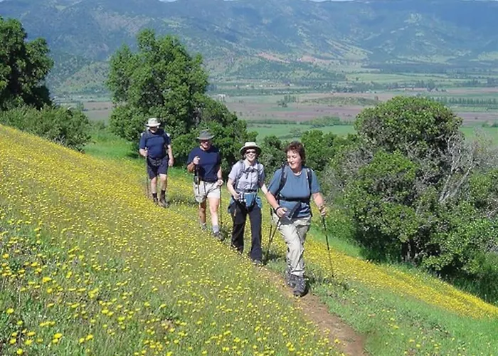 Апартаменты Lavender - Perfect For Families!