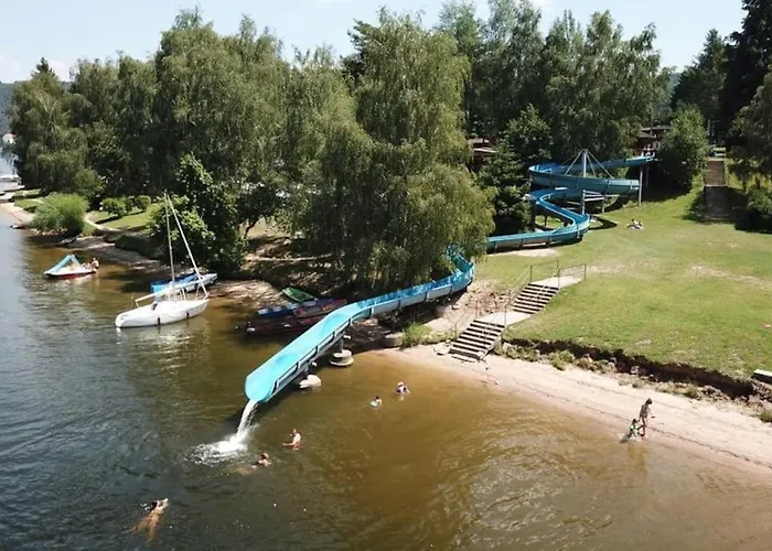 Lavender - Perfect For Families! * Stranny