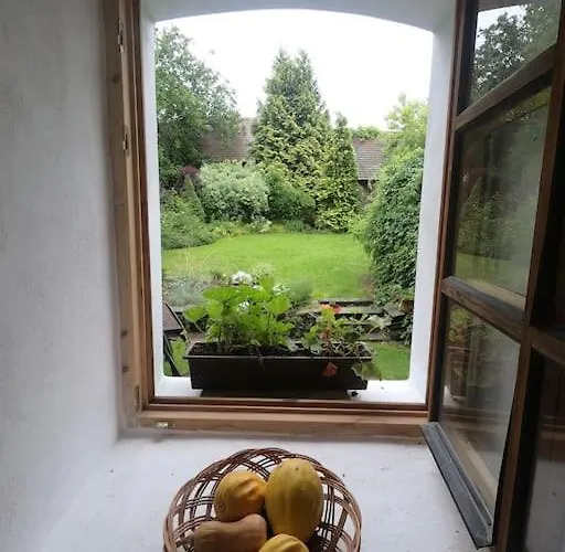 Lavender - Perfect For Families! *