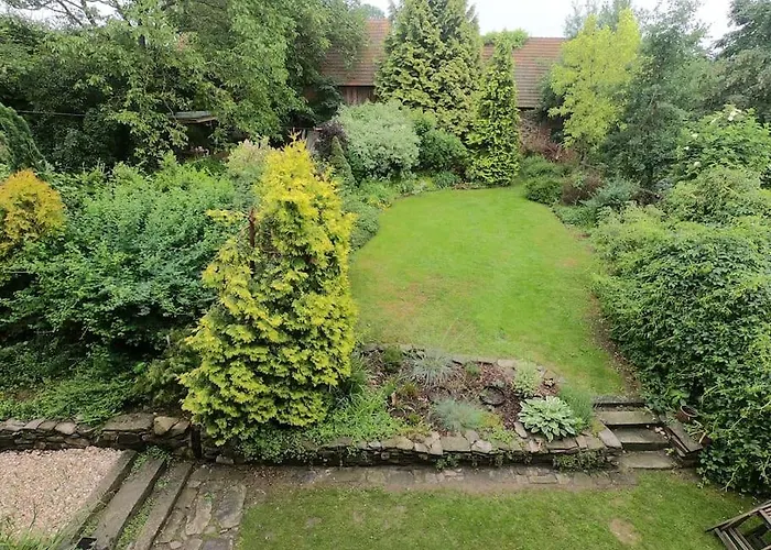 Lavender - Perfect For Families! Stranny