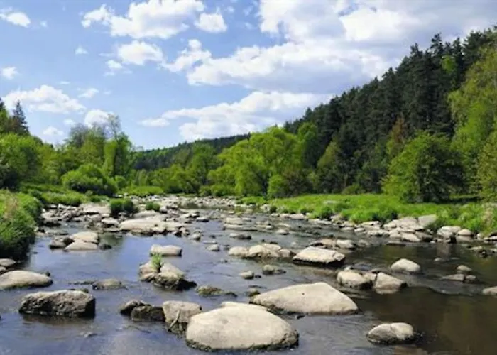 Lavender - Perfect For Families!