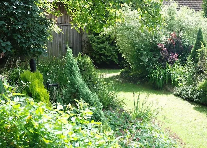 Lavender - Perfect For Families! Stranny