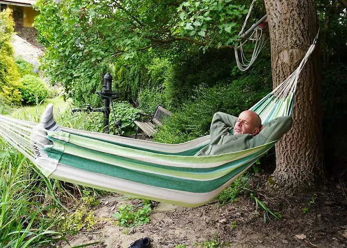 Lavender - Perfect For Families! Stranny