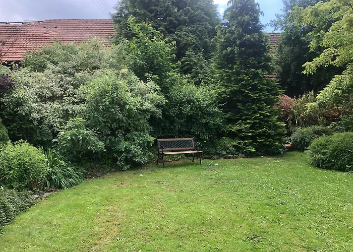 Lavender - Perfect For Families! * Stranny