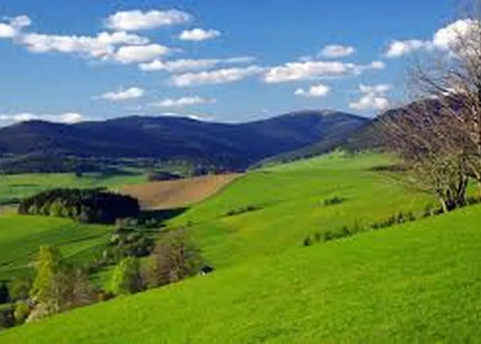 Apartmán Lavender - Perfect For Families! Stranny