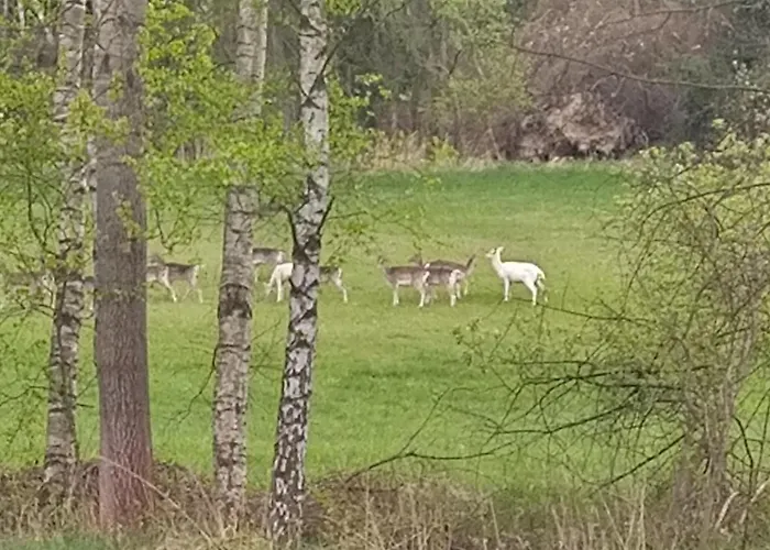 Apartmán Lavender - Perfect For Families! Stranny