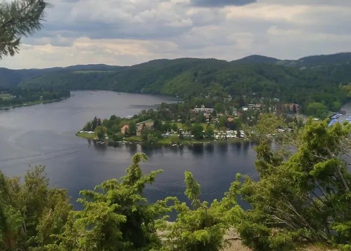 Lavender - Perfect For Families! * Stranny