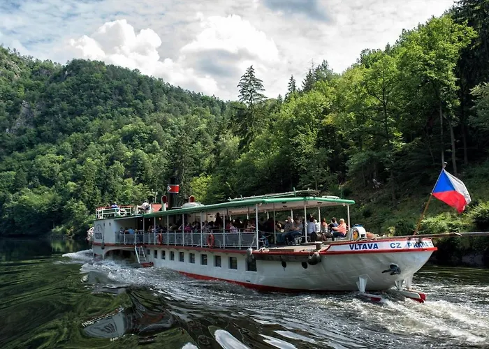 Lavender - Perfect For Families! * Stranny