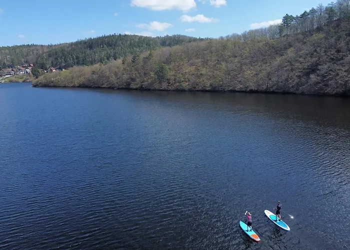 Lavender - Perfect For Families!